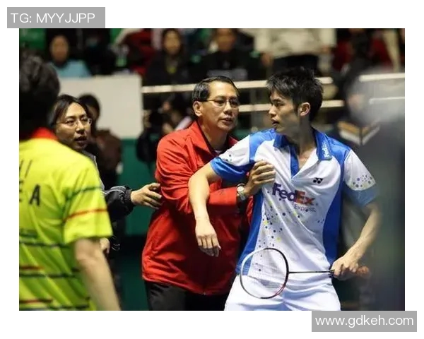 李炫一与林丹在2012年羽毛球赛场上的巅峰对决与精彩瞬间回顾