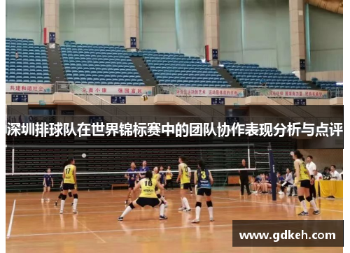 深圳排球队在世界锦标赛中的团队协作表现分析与点评
